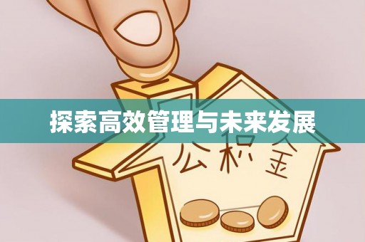 宁都探索高效管理与未来发展