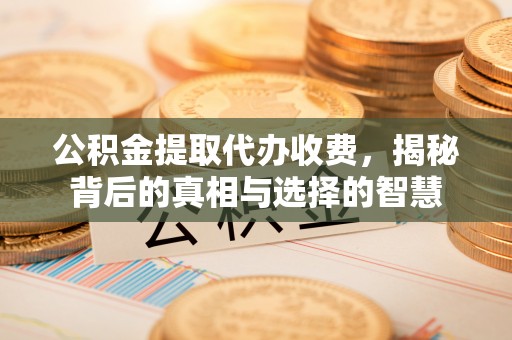 宁都公积金提取代办收费，揭秘背后的真相与选择的智慧