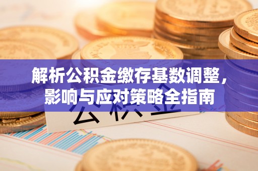 宁都解析公积金缴存基数调整，影响与应对策略全指南