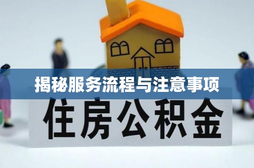 宁都揭秘服务流程与注意事项