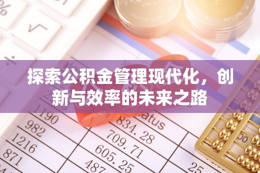 宁都探索公积金管理现代化，创新与效率的未来之路