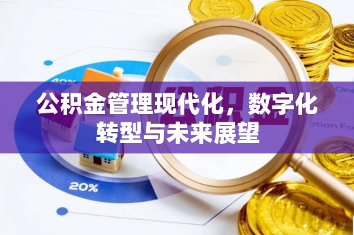 宁都公积金管理现代化，数字化转型与未来展望