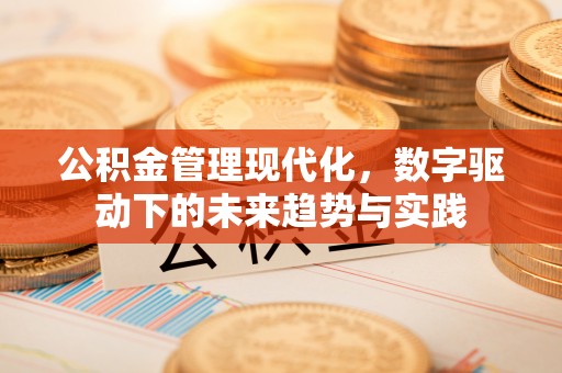 宁都公积金管理现代化，数字驱动下的未来趋势与实践