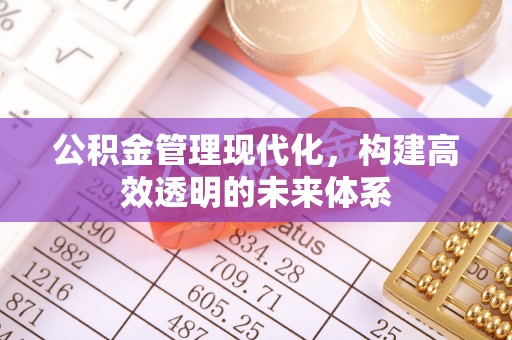 宁都公积金管理现代化，构建高效透明的未来体系