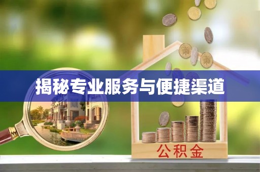 宁都揭秘专业服务与便捷渠道