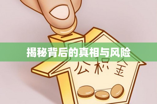 宁都揭秘背后的真相与风险