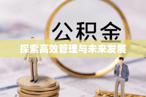 宁都探索高效管理与未来发展
