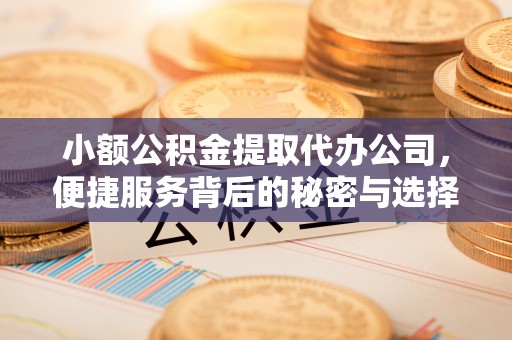 宁都小额公积金提取代办公司，便捷服务背后的秘密与选择指南