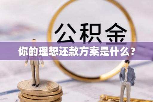 宁都你的理想还款方案是什么？