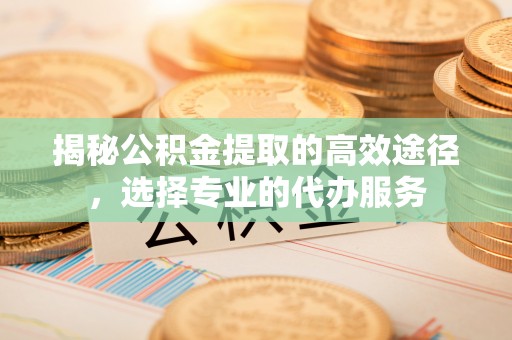 宁都揭秘公积金提取的高效途径，选择专业的代办服务