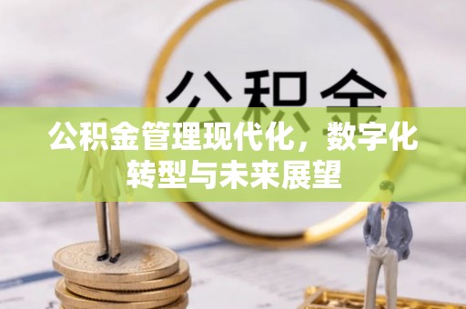 宁都公积金管理现代化，数字化转型与未来展望