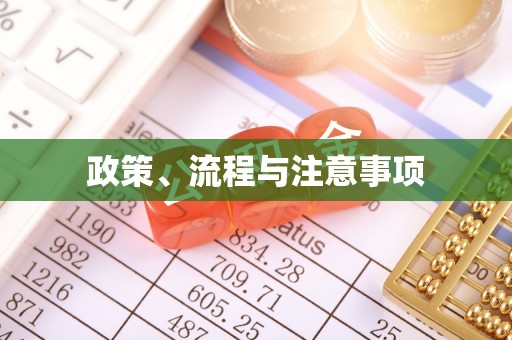 宁都政策、流程与注意事项