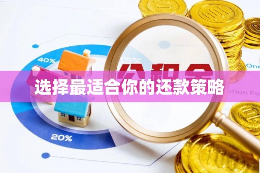 宁都选择最适合你的还款策略