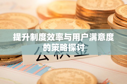 宁都提升制度效率与用户满意度的策略探讨