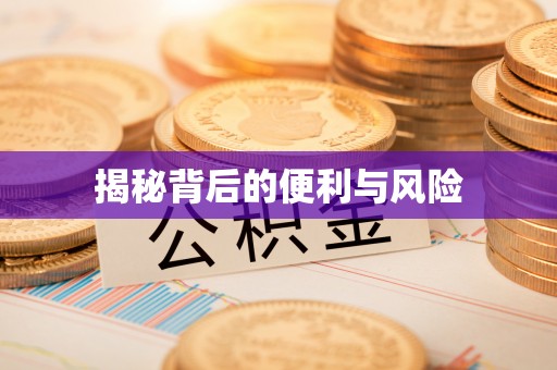 宁都揭秘背后的便利与风险